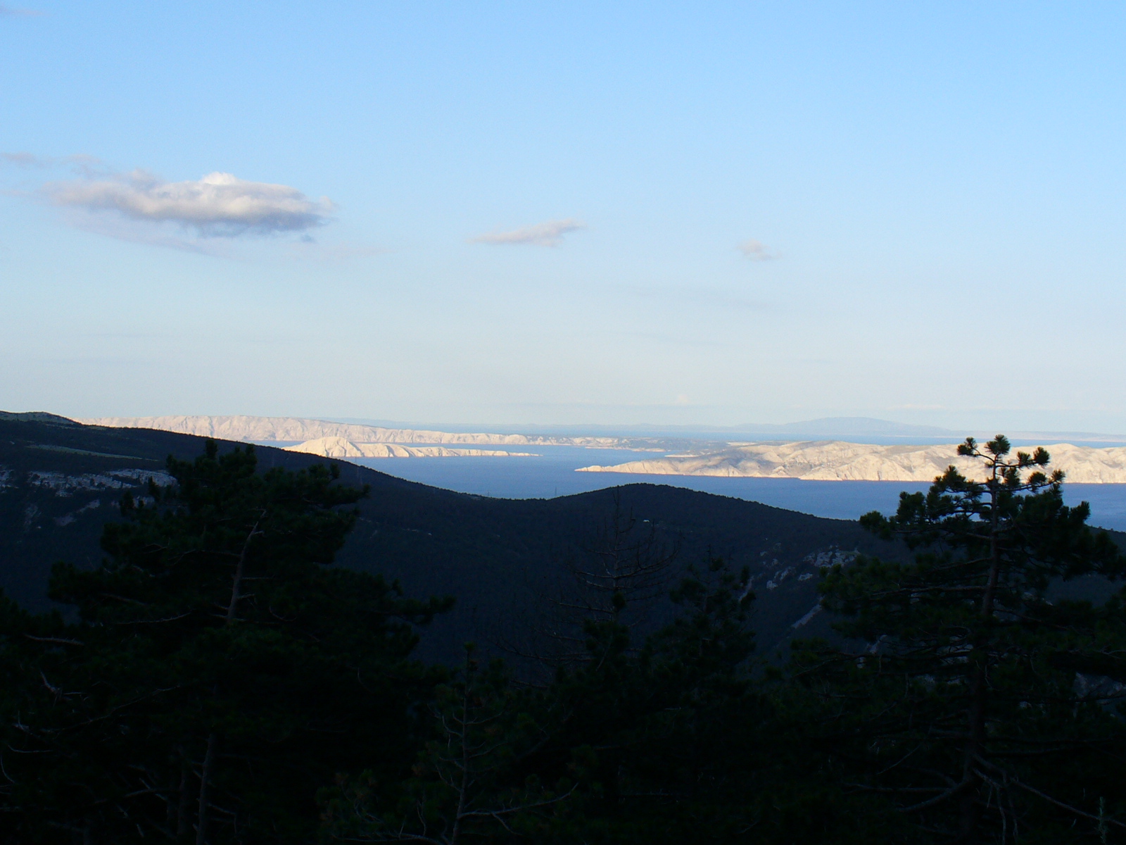 P1020336.JPG