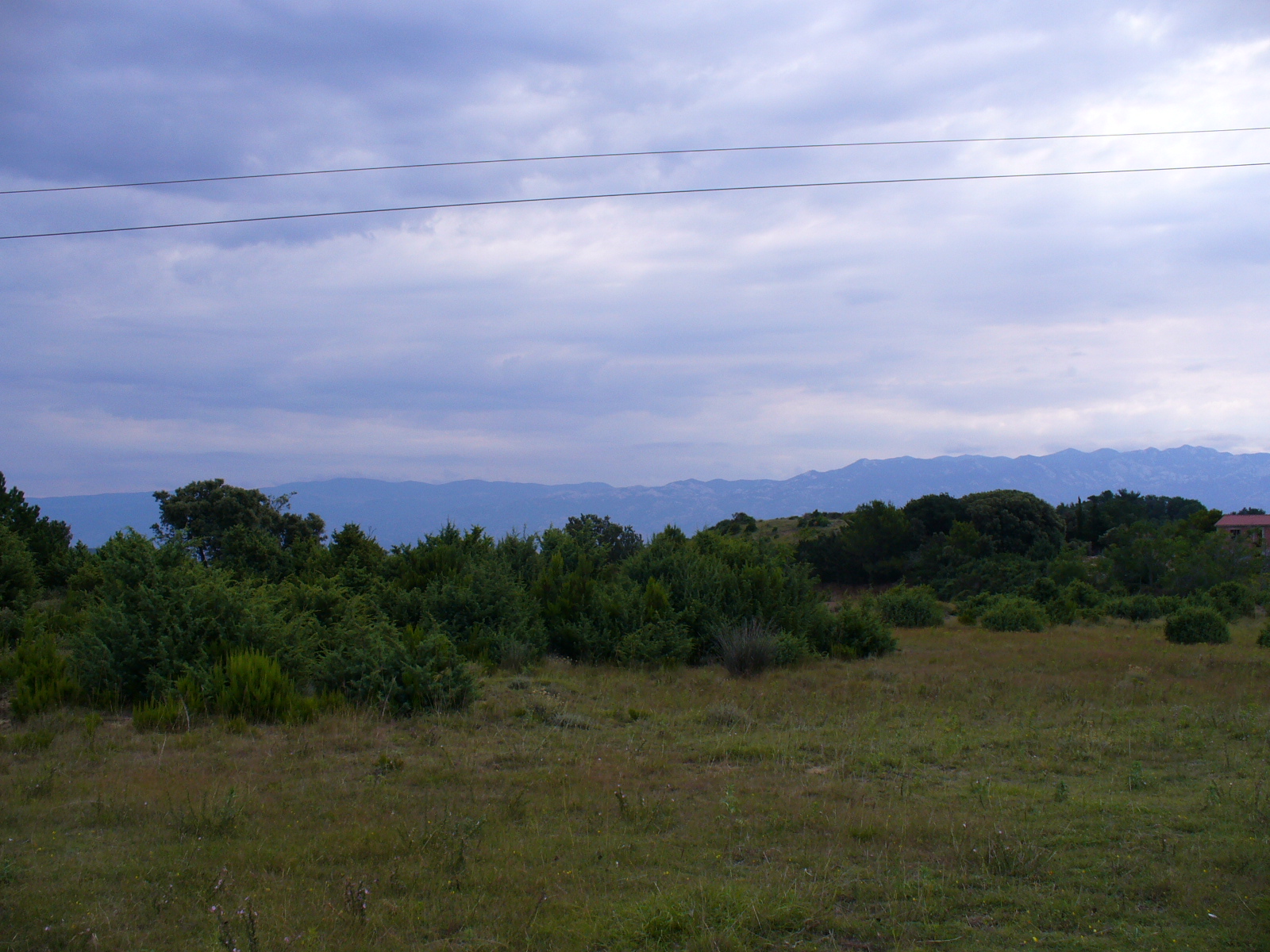 P1020377.JPG