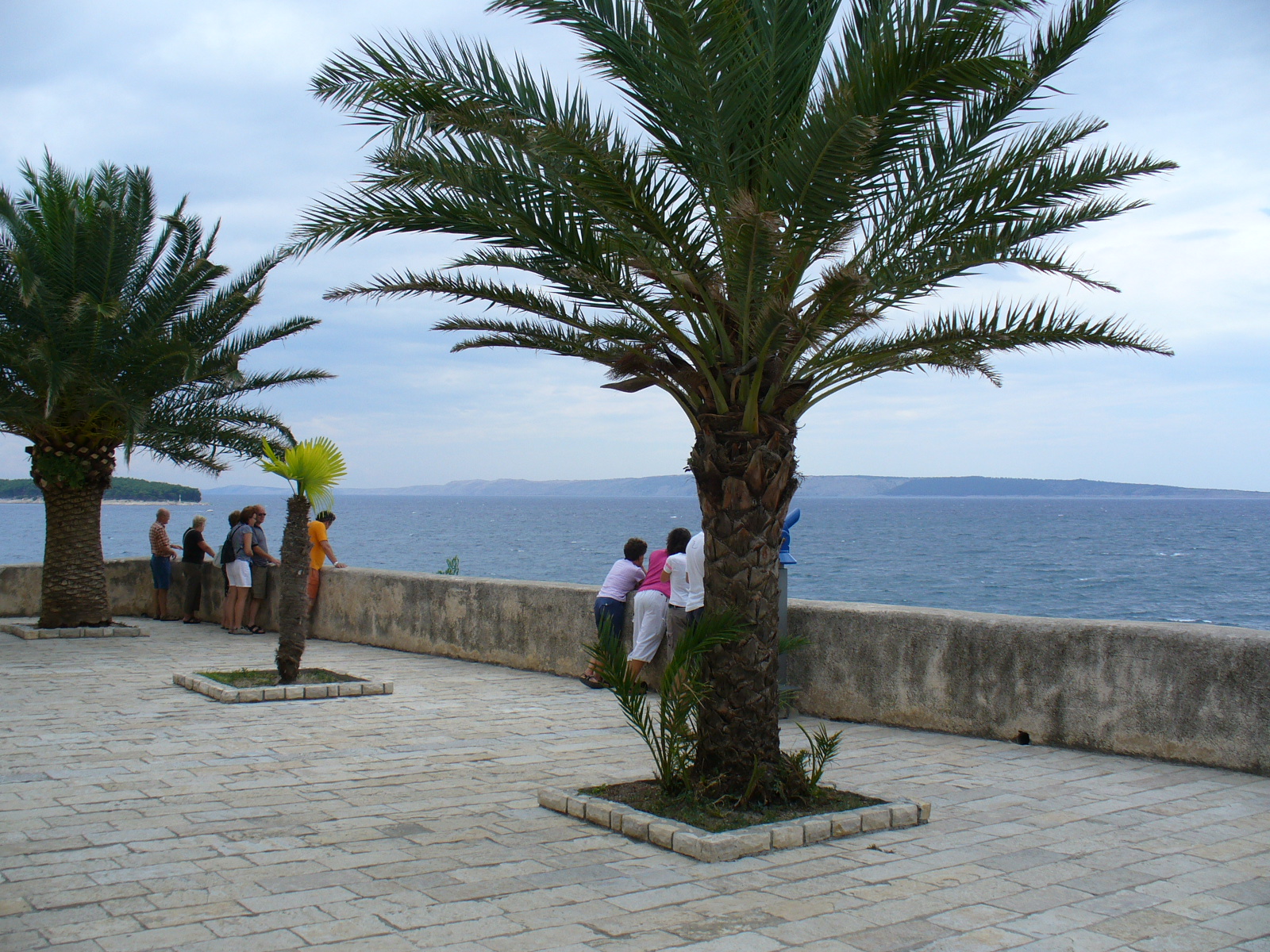P1020415.JPG